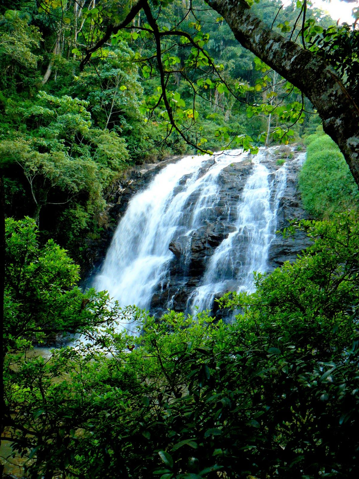 Abundant Water Supply