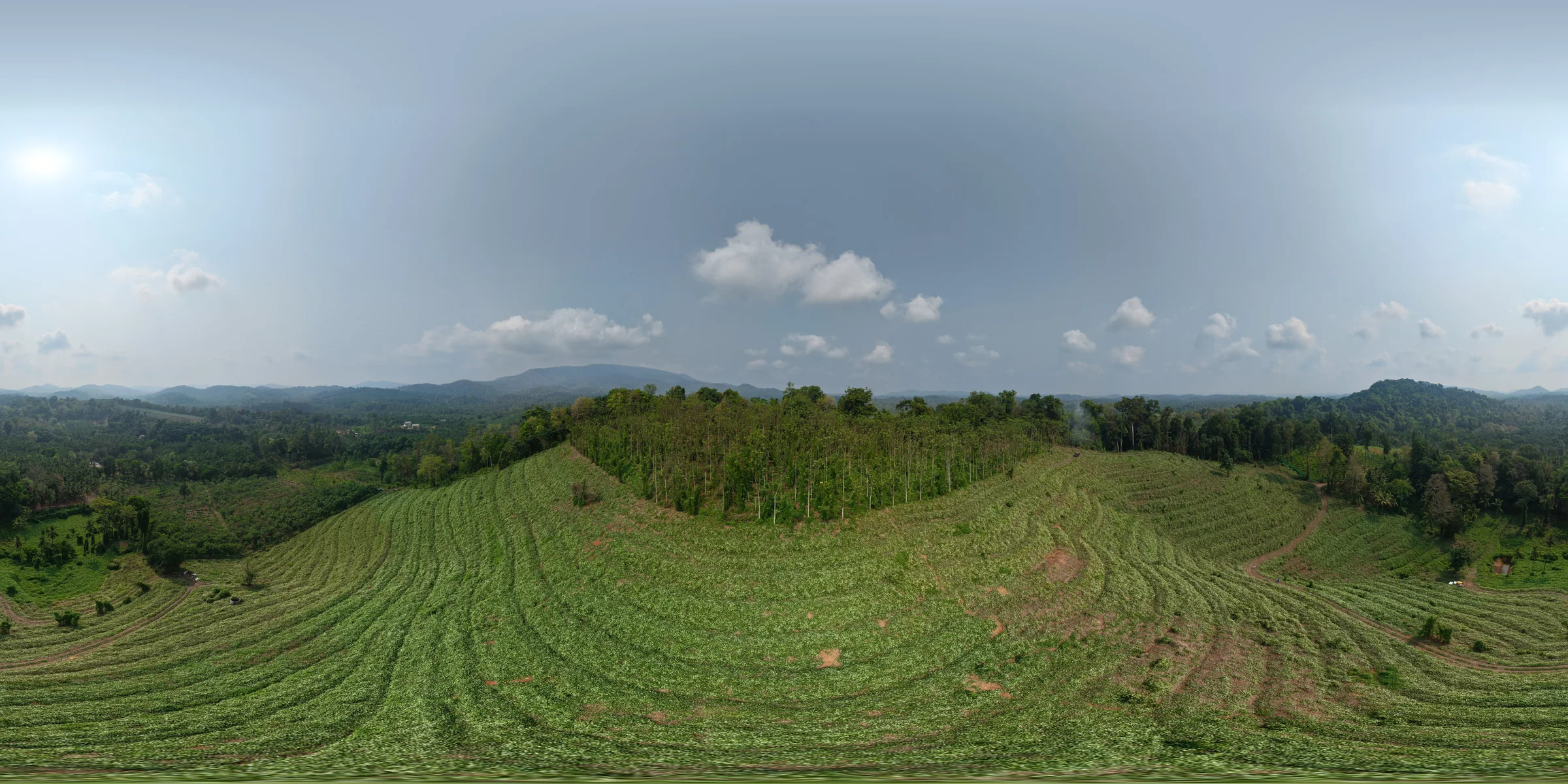 Panoramic drone view of the Peppy Woods plantation and surrounding Western Ghats